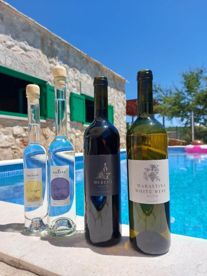 Villa Sagosde With Swimming Pool And Mini Golf Zagvozd Kültér fotó
